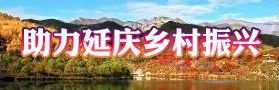助力延慶鄉(xiāng)村振興
